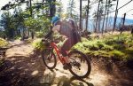 Rowerzysta na rowerze górskim zjeżdzający leśną trasą